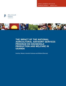 The impact of the National Agricultural Advisory Services program on household production and welfare in Uganda