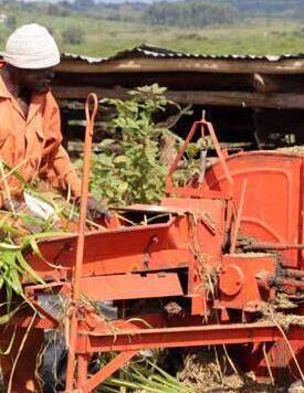 POTENTIAL PRODUCTIVITY AND ECONOMIC OUTCOMES FROM ADOPTING BOTH AGRICULTURAL TECHNOLOGY AND EXTENSION